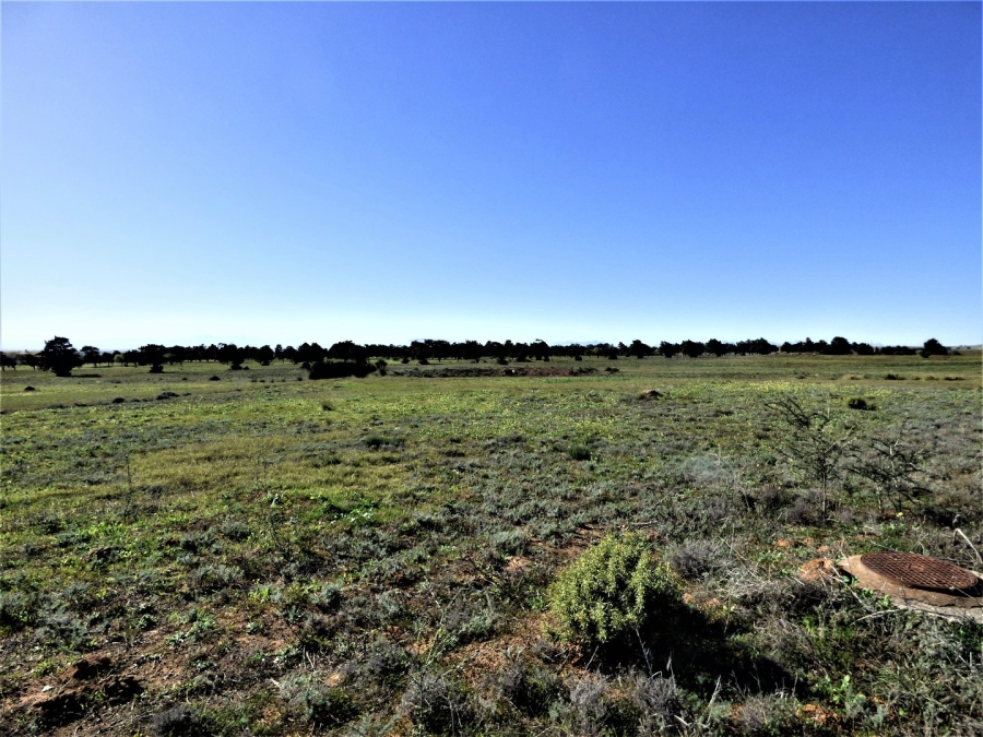0 Bedroom Property for Sale in Darling Western Cape